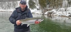 A rainbow trout caught while fishing in MI