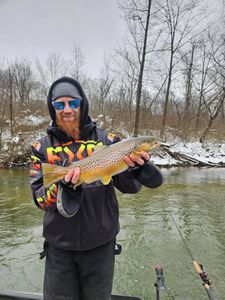 Angler holding a sea trout in MI