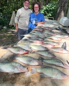 Mississippi Slab Action Today