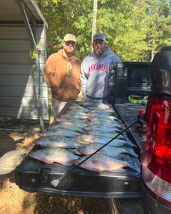Slayin’ Crappie in the Delta