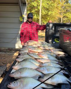 Reel Crappie Moments in MS
