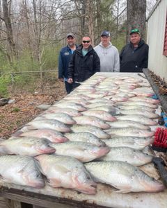 4 big fish caught in MS