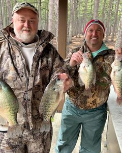 4 white crappie fish caught in MS
