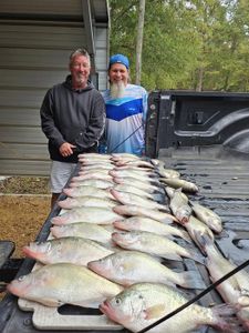 Three bluefish caught while fishing in Oakland