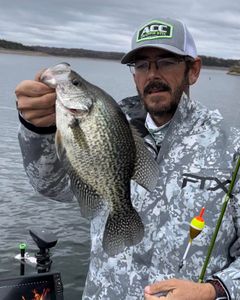 A single crappie fish caught in MS