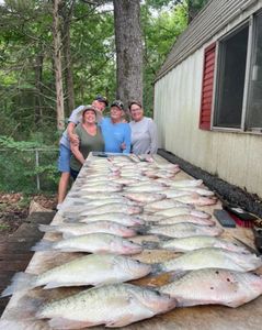3 crevalle jack fish caught in MS