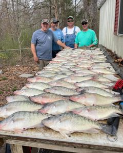 4 people fishing for 3 big fish in MS