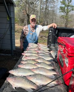 Three big fish caught in MS