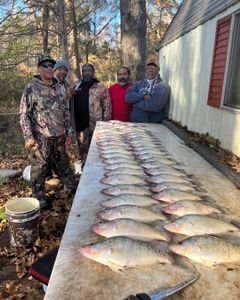 3 big fish caught in Oakland during fishing trip