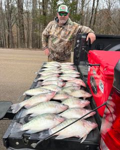 3 huge fish caught while fishing in MS