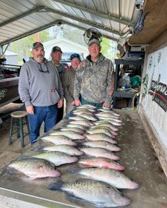 3 big fish caught in MS during fishing