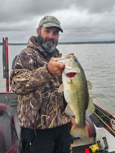 Largemouth Bass caught while fishing in Oakland