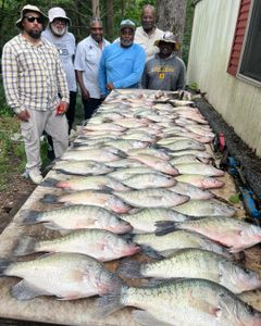 9 white crappie fish caught in MS