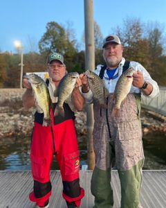 Smallmouth and Largemouth Bass, 14 inches long, caught while fishing in Oakland