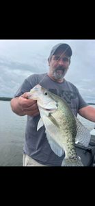 White crappie fish caught in MS