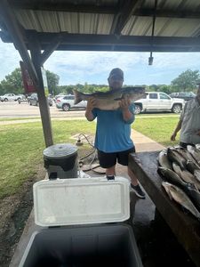 Angler fishing in Kingston