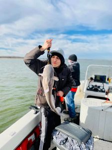 Fisherman proudly holding a large blue catfish in OK