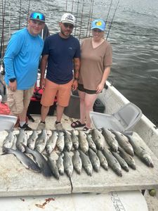 Blue catfish caught while fishing in OK