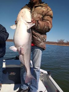 Blue catfish fishing in OK
