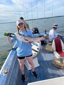 Bass Fishing Adventure In Lake Texoma 