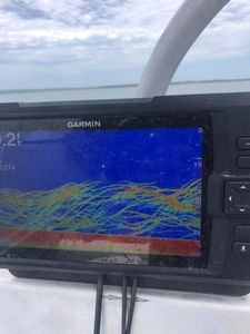 Fishing in Kingston, a great outdoor adventure