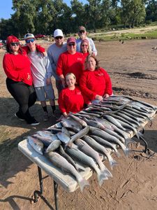 8 people fishing and hunting in Kingston