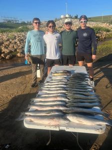 4 people fishing and hunting in Kingston