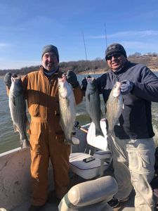 Four striped bass caught fishing in OK