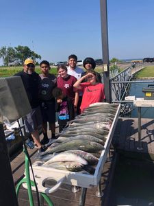 Grayling fishing in OK