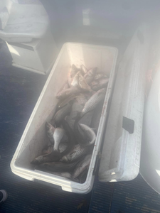 Fishing and hunting outdoors in OK