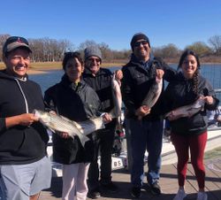 3 striped bass caught during fishing trip in Kingston