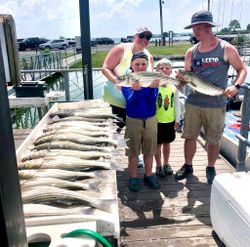 5 striped bass fish caught by 3 people while fishing in OK