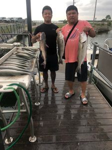 2 anglers with 3 striped bass caught in Kingston