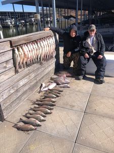 A huge striped bass caught by two anglers in Kingston