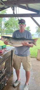 A striped bass caught by a fisherman in Kingston