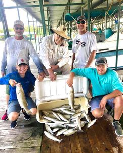 Two striped bass caught in Kingston