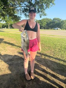 White Bass caught while fishing in OK