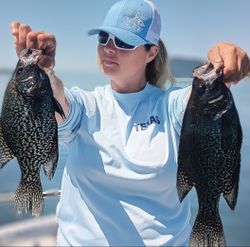 Two crappie fish caught in Graford