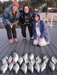 5 Wiper (Hybrid striped bass) fish caught in Graford, Texas