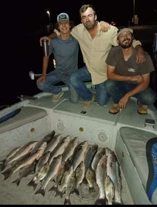 Two striped bass caught during a fishing tour in Graford