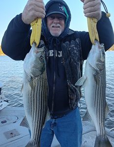 Two striped bass, fishing in Graford