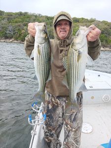Two striped bass caught in Graford during fishing tour