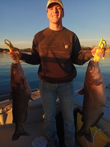 Two blue catfish caught while fishing in Graford