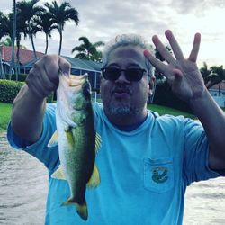 Largemouth bass fishing in Everglades