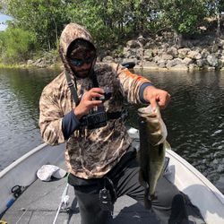 Catch and release in the wild