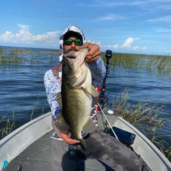 Casting lines near sawgrass flats