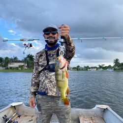 One angler with fishing gear in Southwest Ranches