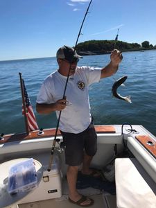 Fishing in MA
