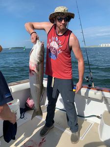 Striped bass fishing in MA