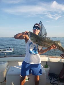 A striped bass measuring 26 inches, caught while fishing in MA.